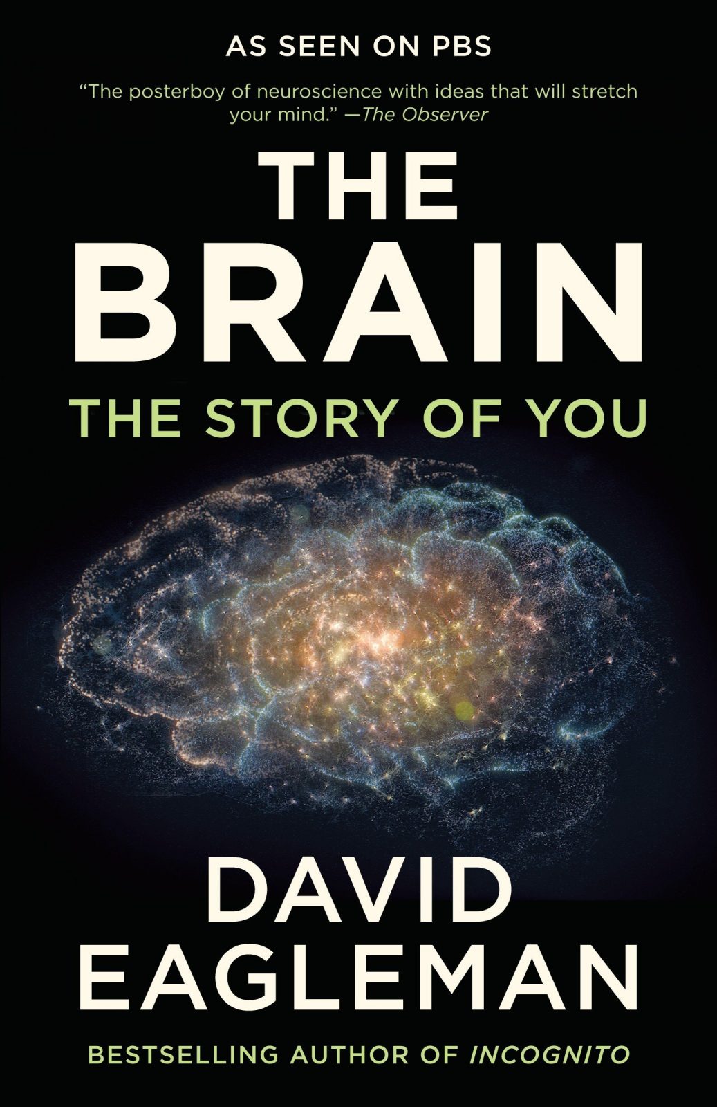 Eagleman - The Brain: The Story of You
