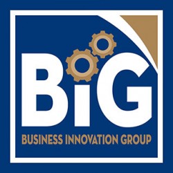 Business Innovation Group